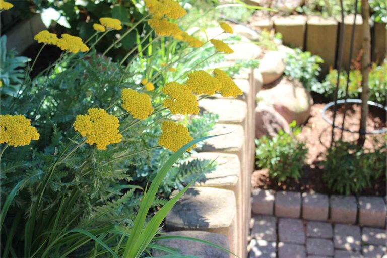 Gartenbau-Sommer-Gartengestaltung_mit_Sichtschutz_20