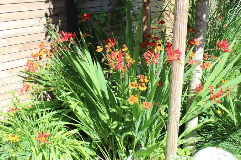 Gartenbau-Sommer-Gartengestaltung_mit_Sichtschutz_40