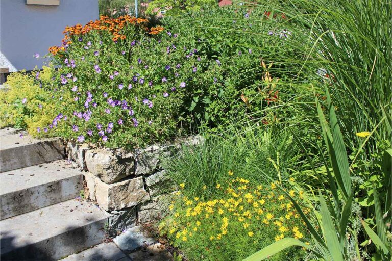 Gartenbau-Sommer-Gartengestaltung_mit_Stellplatz_E-Auto_17