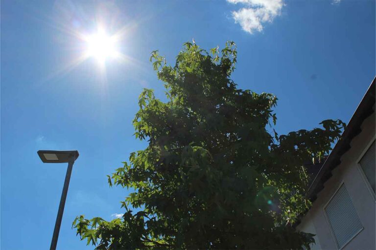 Gartenbau-Sommer-Gartengestaltung_mit_Stellplatz_E-Auto_18