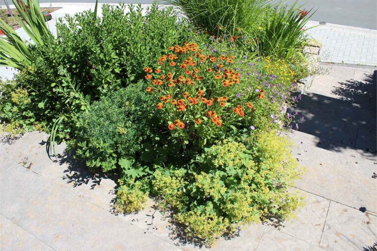 Gartenbau-Sommer-Gartengestaltung_mit_Stellplatz_E-Auto_9