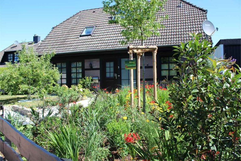 Gartenbau-Sommer-Gestaltung-Vorgarten-mit-Steintreppe-7