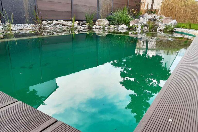 Gartenbau-Sommer-Schwimmteich-Gestaltung-3