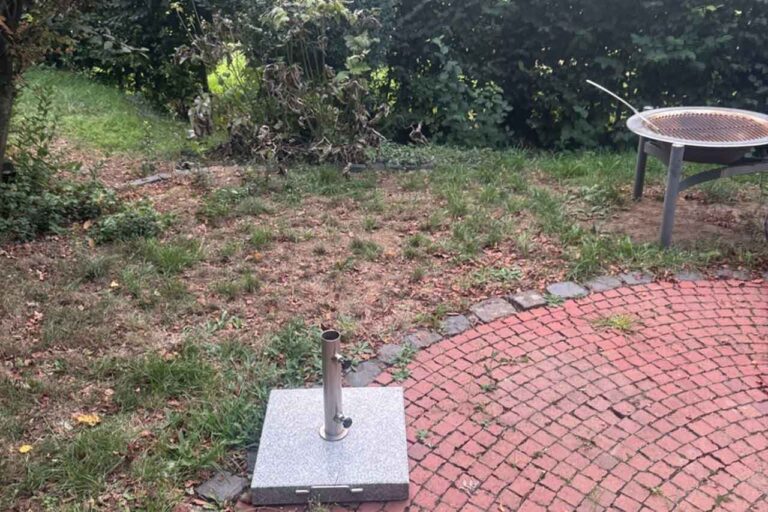 Ungepflegter Rasenbereich mit Feuerschale und Sonnenschirmständer vor dem Umbau