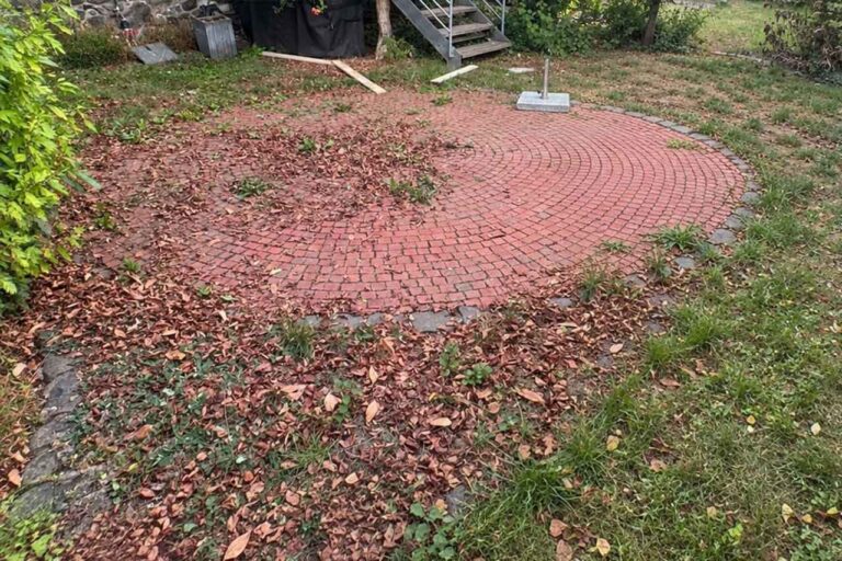 Verwilderte Gartenfläche mit zugewachsener Pflasterrosette vor der Sanierung