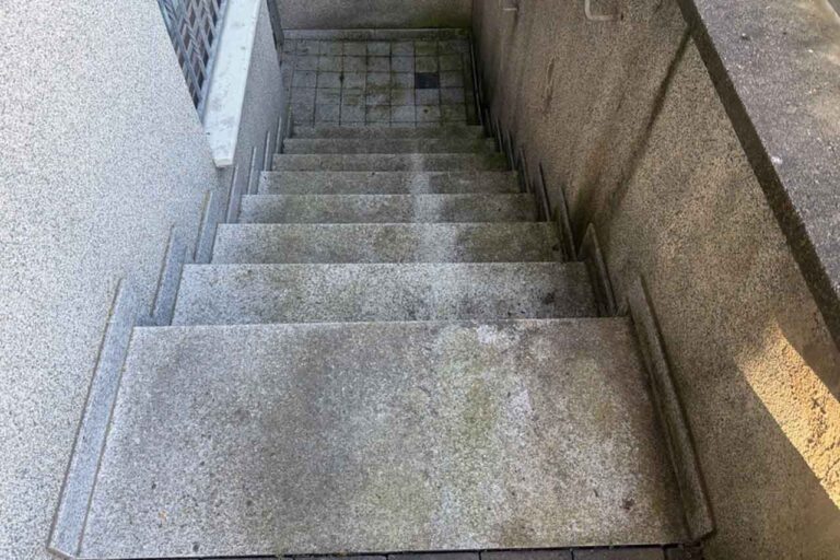Granitstufen mit Moos- und Algenbelag vor der Terrassenreinigung